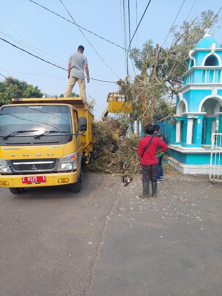 Pemangkasan Pohon Depan Pagar